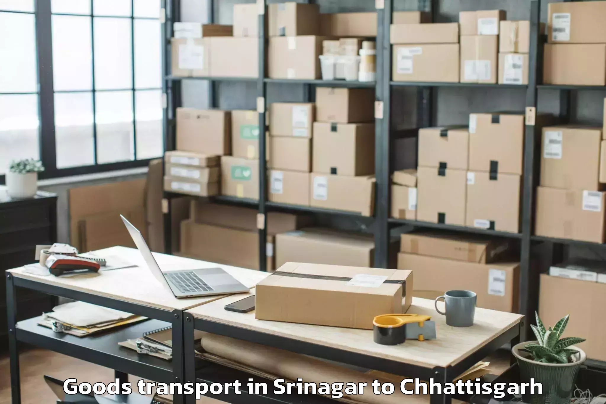 Easy Srinagar to Abhilashi University Raipur Goods Transport Booking